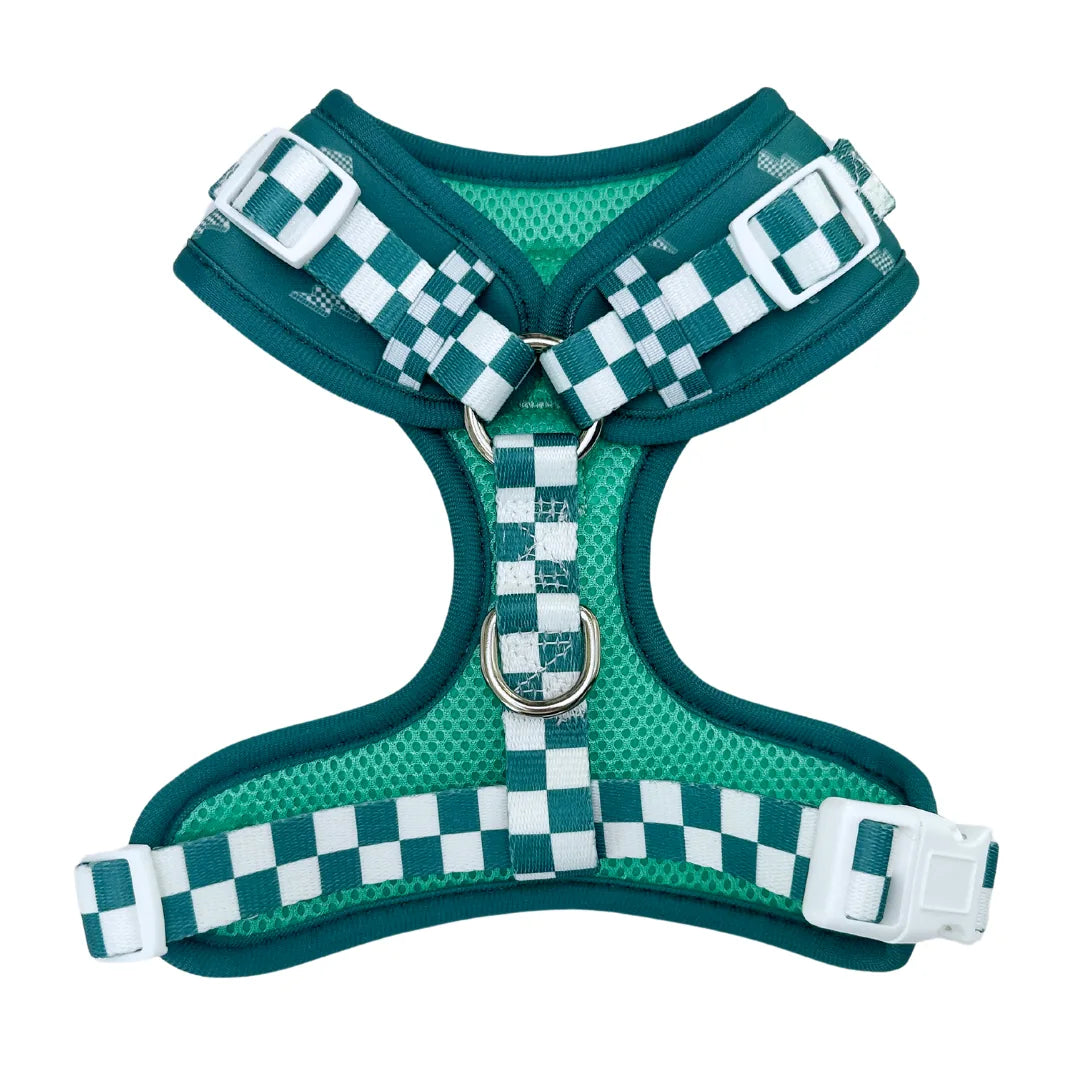 Thunderstruck Adjustable Harness in teal with a checked pattern, featuring soft neoprene and breathable mesh for comfort.