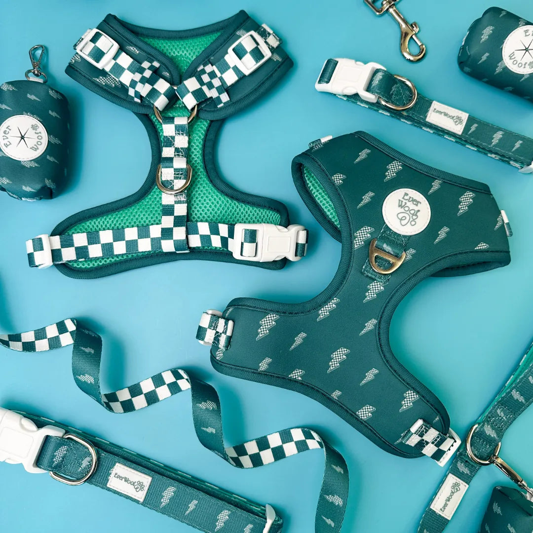 Thunderstruck adjustable harness in teal with checkered pattern and soft neoprene, featuring a breathable lining and metal...