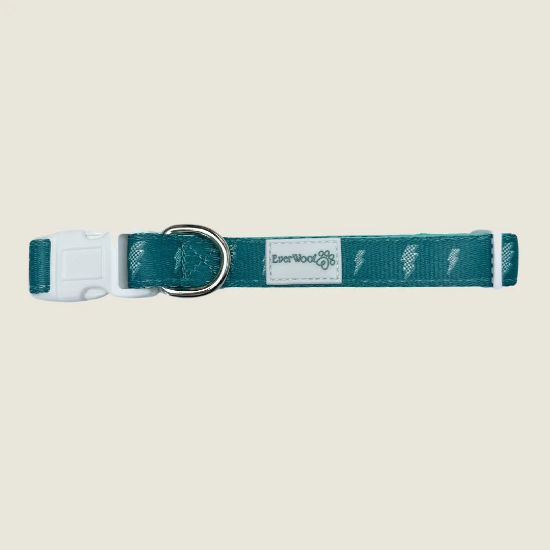 Thunderstruck Collar by EverWoof in teal, featuring a lightning bolt pattern, adjustable buckle, and silver D-ring.
