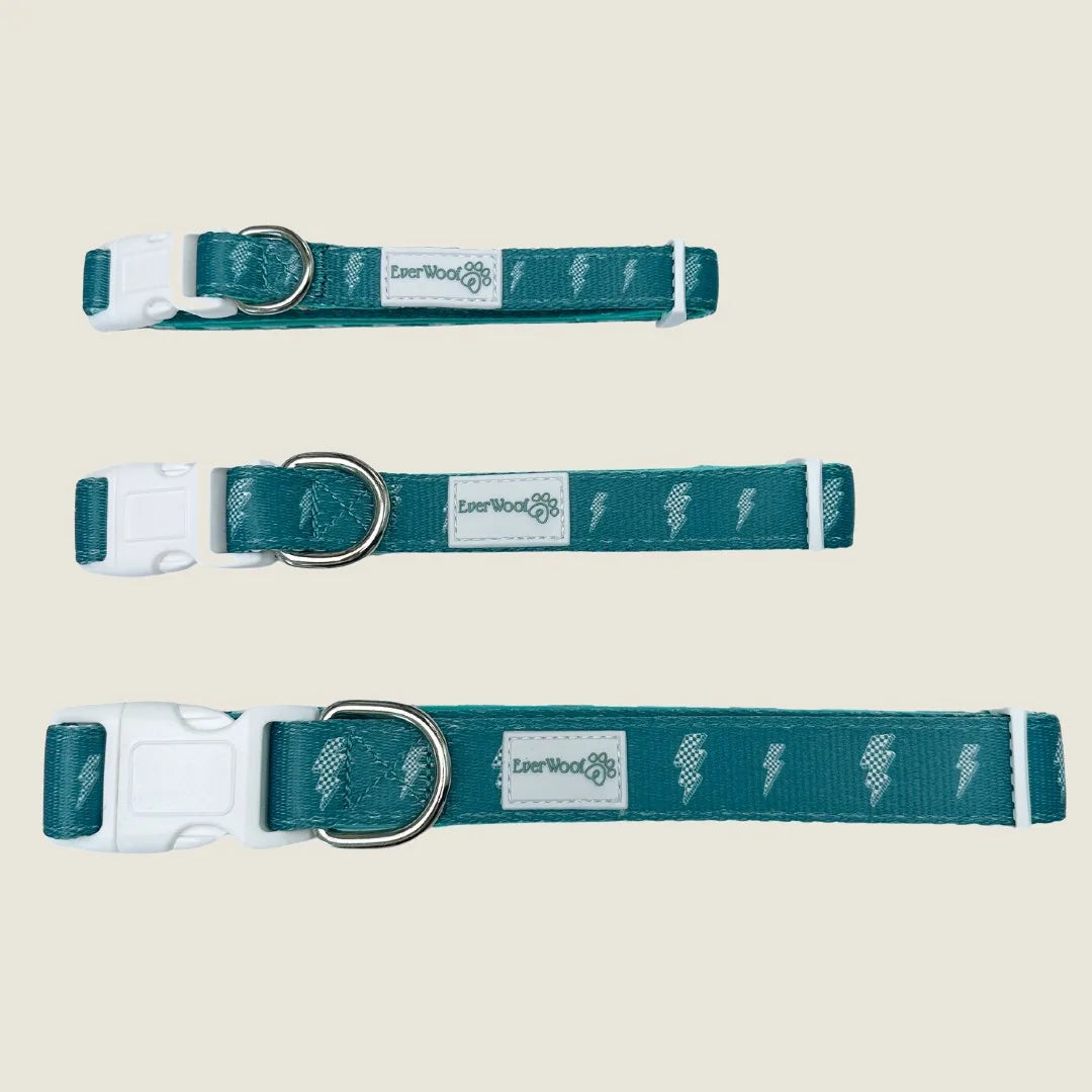 Thunderstruck print dog collar in teal with adjustable white buckle and metal ring from EverWoof.