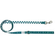 Thunderstruck Leash by EverWoof
