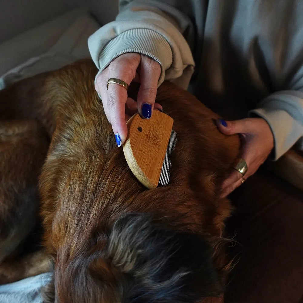 Bamboo flea detangler comb being used on a dog's fur, showcasing eco-friendly grooming tools.