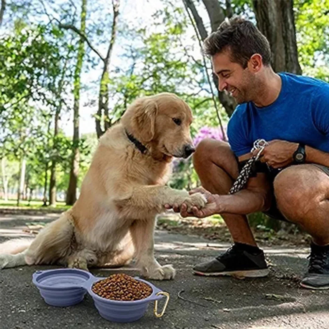 Collapsible lilac pet bowl with food, beside a man and his golden retriever in a sunny park setting.