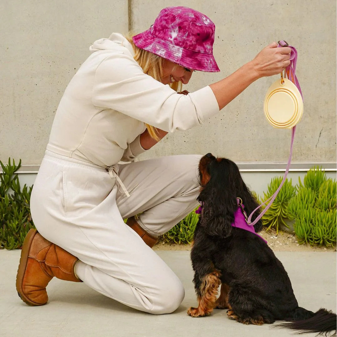 A woman in a beige outfit kneels beside a small dog in a purple harness, holding a collapsible pet bowl.