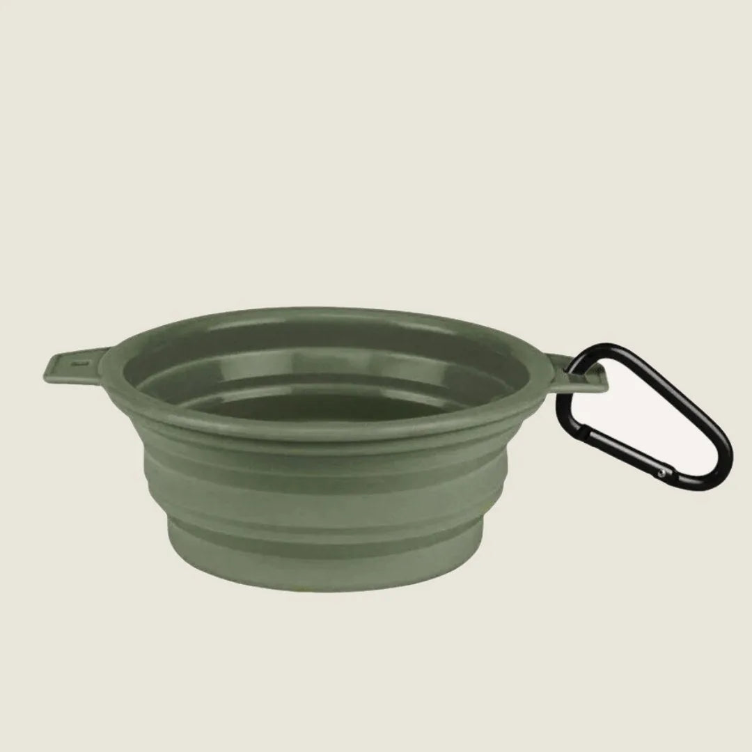 Collapsible cactus green pet bowl with clip, designed for travel and easy feeding on the go.