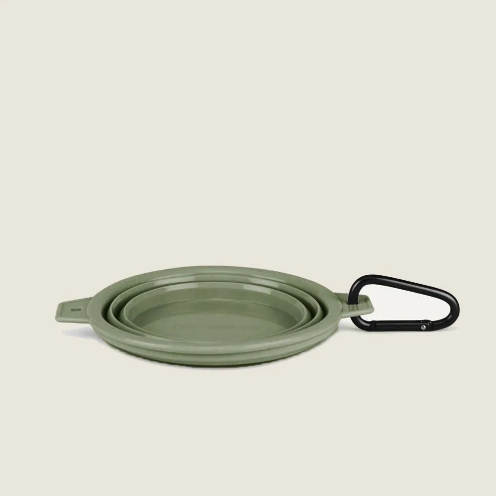 Collapsible Cactus Green travel pet bowl with a black clip, designed for easy feeding on the go.
