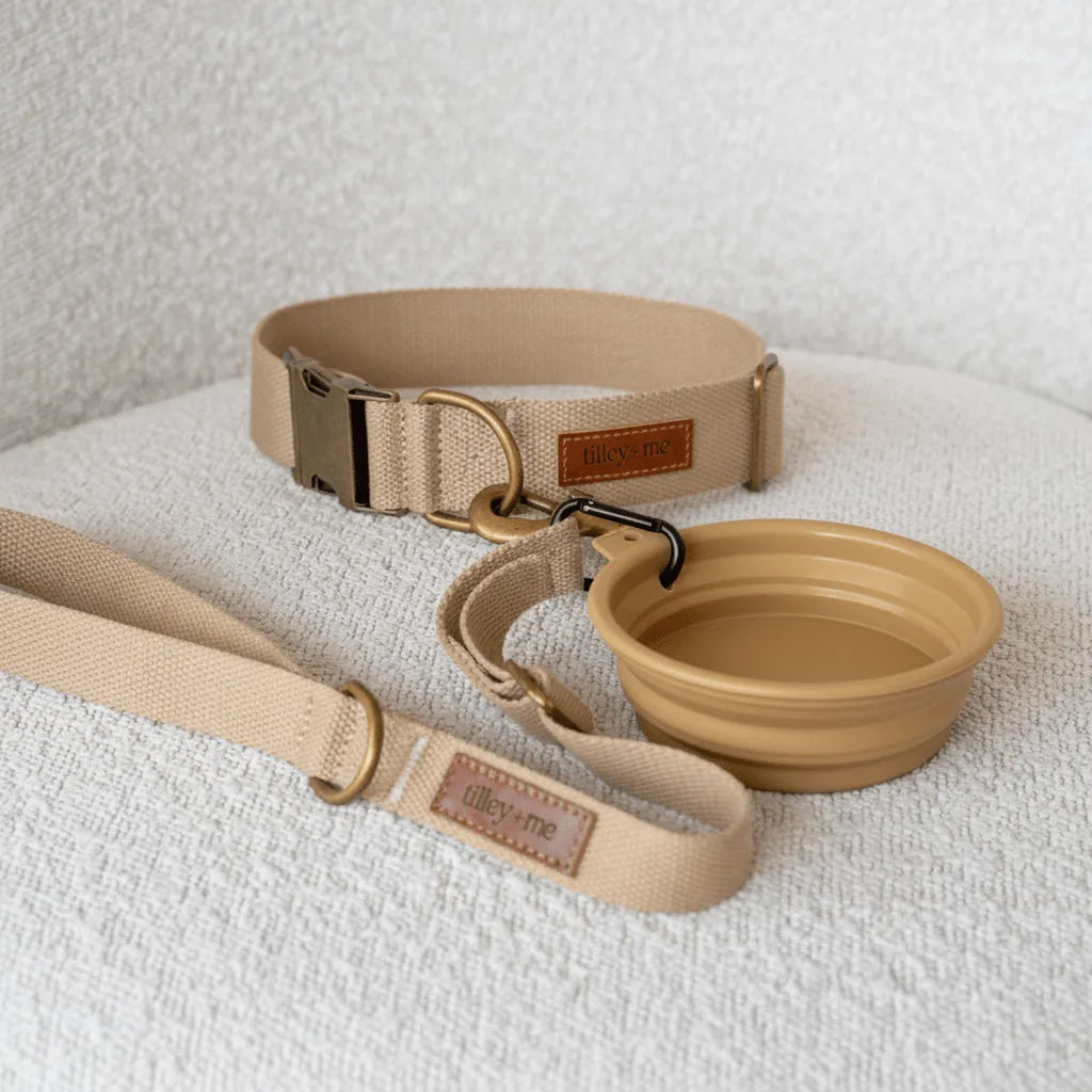 Collapsible sand-colored pet bowl with clip, alongside a matching beige leash, set on textured surface.