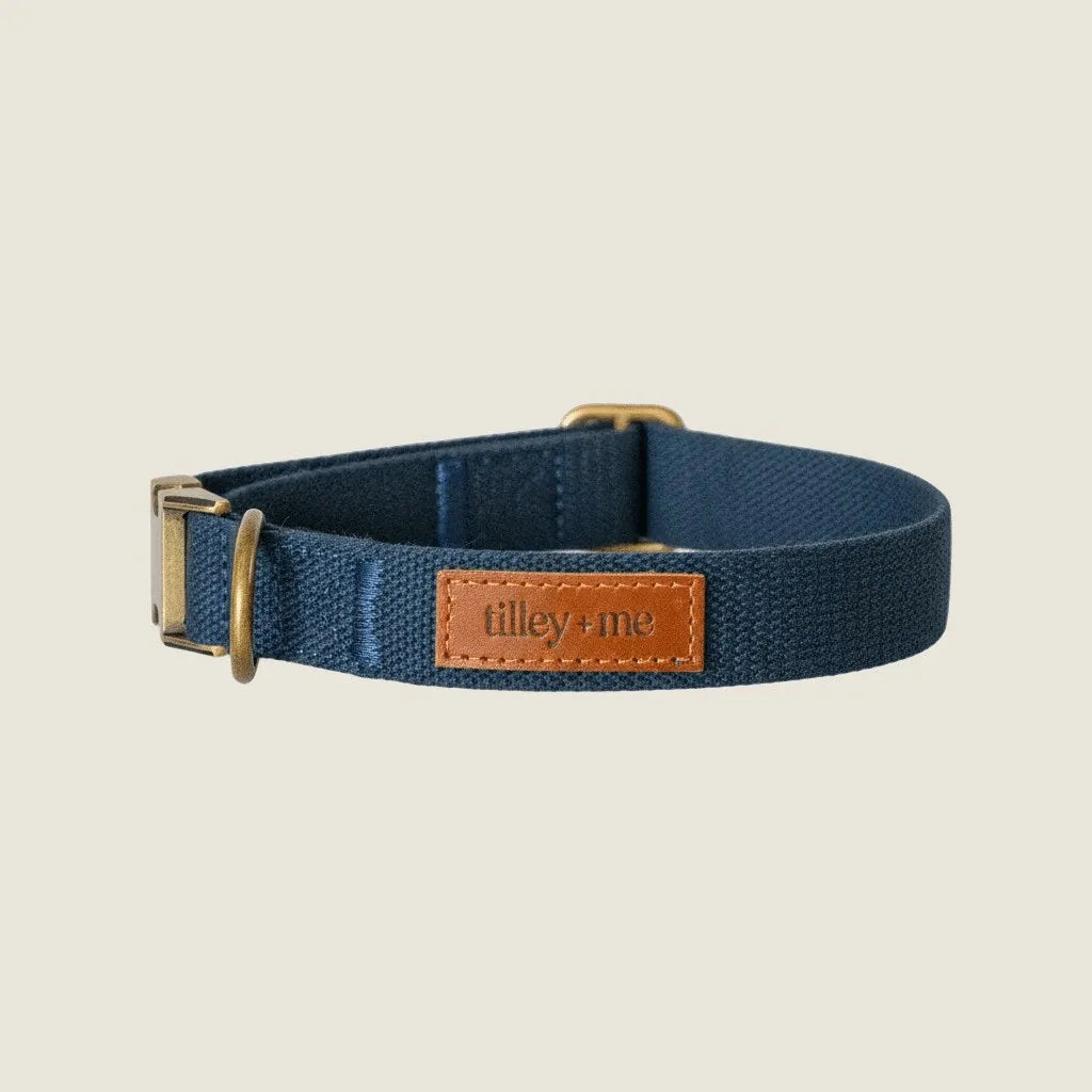 Adjustable navy hemp cotton dog collar with brass hardware and a leather tag from Tilley + Me.