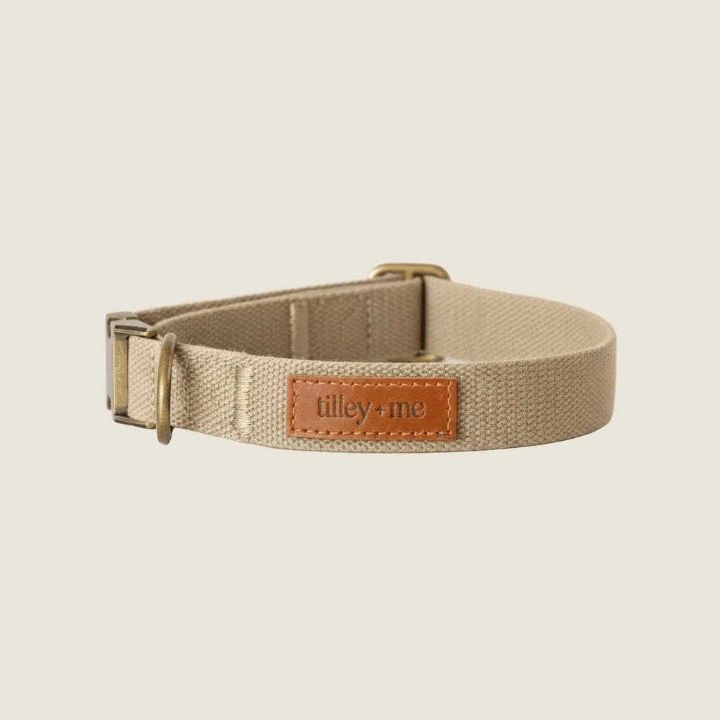 Durable hemp cotton dog collar in Desert Sand color with brass hardware and leather tag by Tilley + Me.