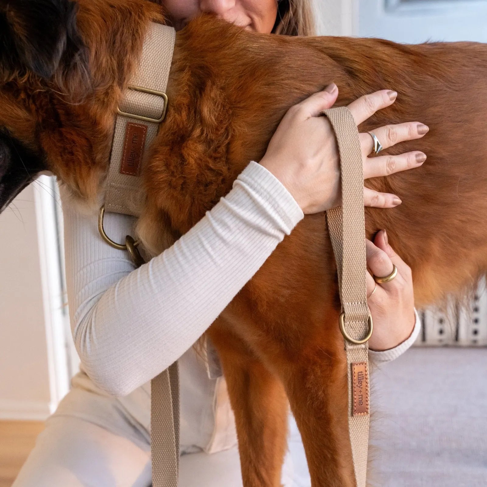 Hemp cotton dog collar in earthy tone, adjustable fit, and brass hardware, worn by a person hugging a dog.