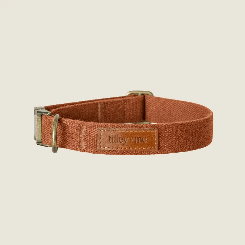 Terracotta clay adjustable dog collar made of durable hemp cotton, featuring a brass buckle and leather tag.