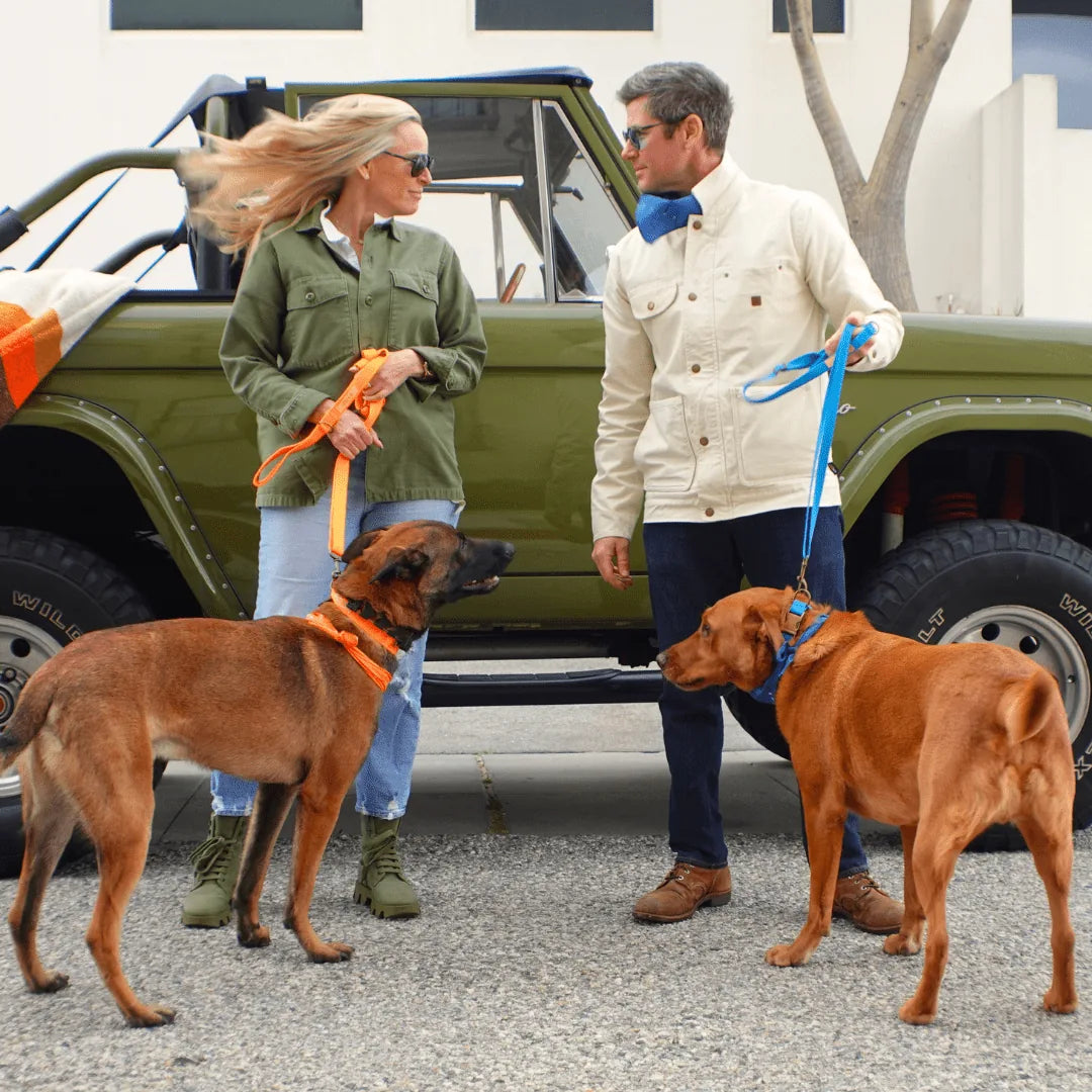 Durable hemp cotton dog leashes in Malibu, held by a couple, with two dogs in vibrant orange and blue colors.