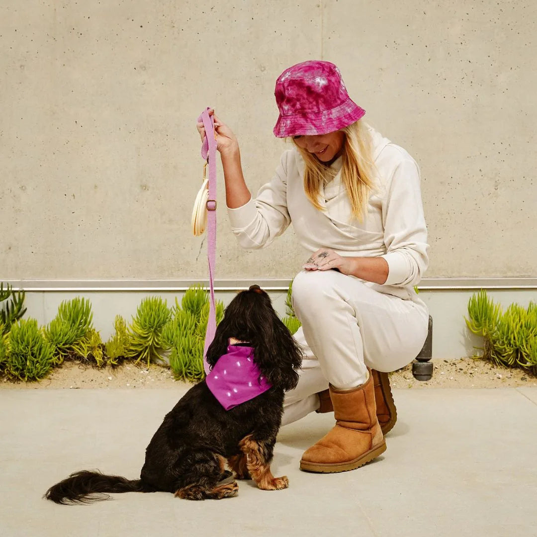 Woman in beige outfit holds a pink dog leash with a black dog in a purple bandana, set against a textured gray wall.