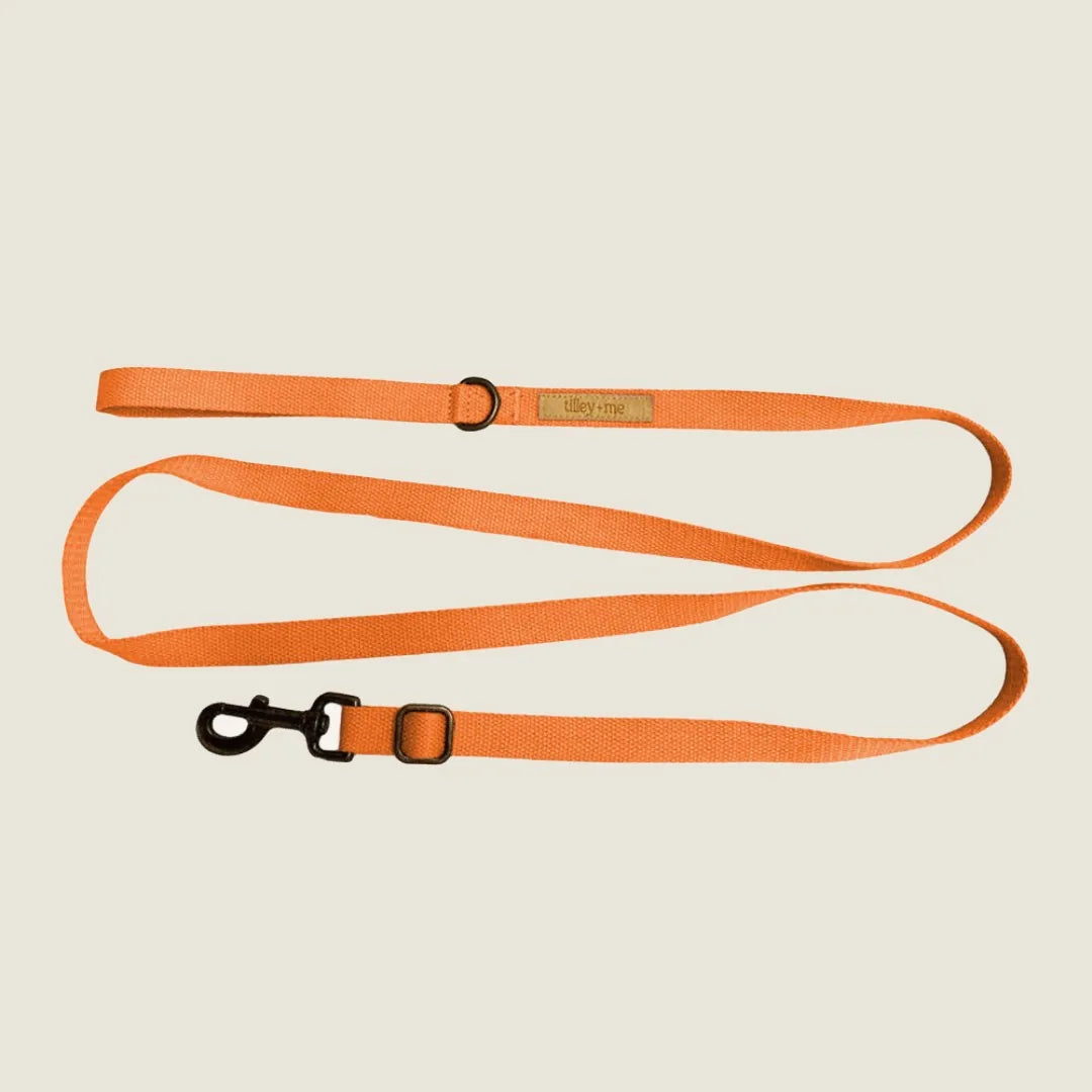 Durable hemp cotton dog leash in vibrant Malibu Sunset orange, featuring an adjustable length and sturdy clip.