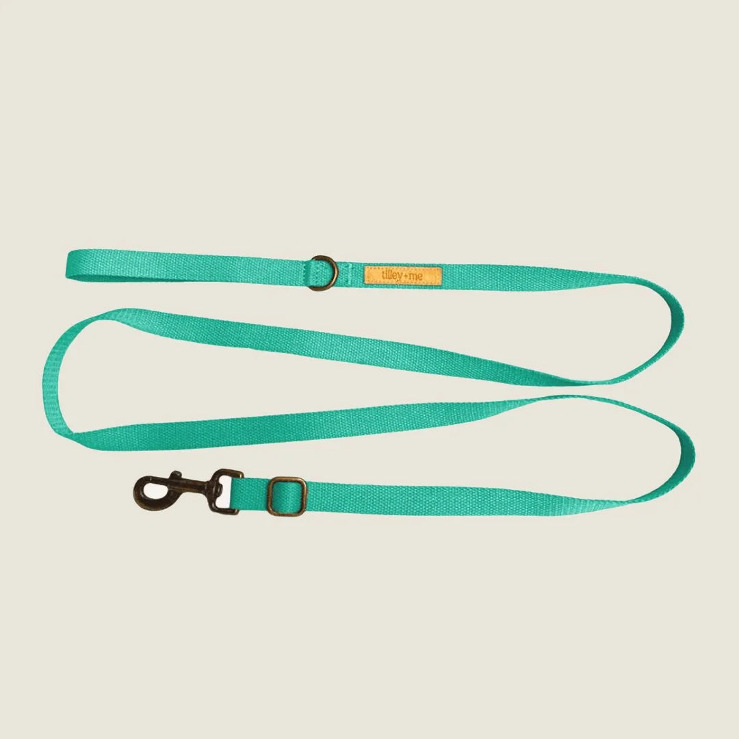 Adjustable Malibu sunset dog leash in vibrant coastal aqua, made from durable hemp cotton with a sturdy clip.