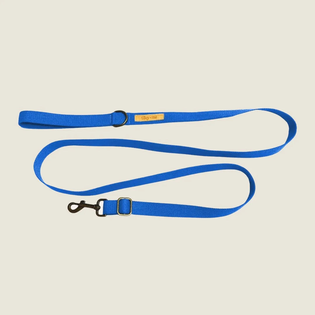 Durable blue hemp cotton dog leash with adjustable length and soft texture, ideal for everyday walks.