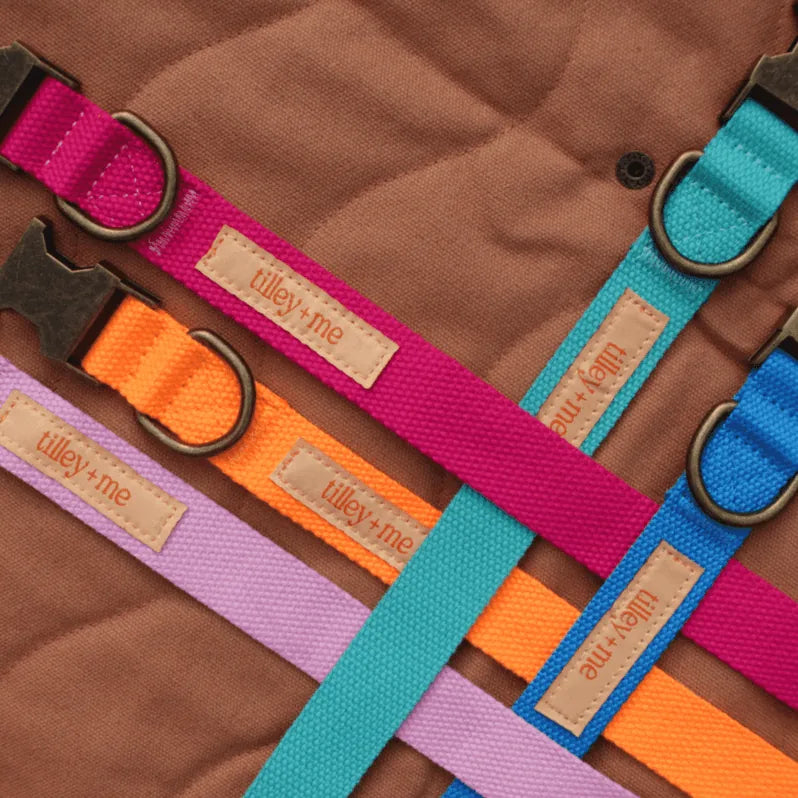 Colorful Tilley + Me hemp cotton dog leashes in pink, orange, lavender, and blue, displayed on a brown background.