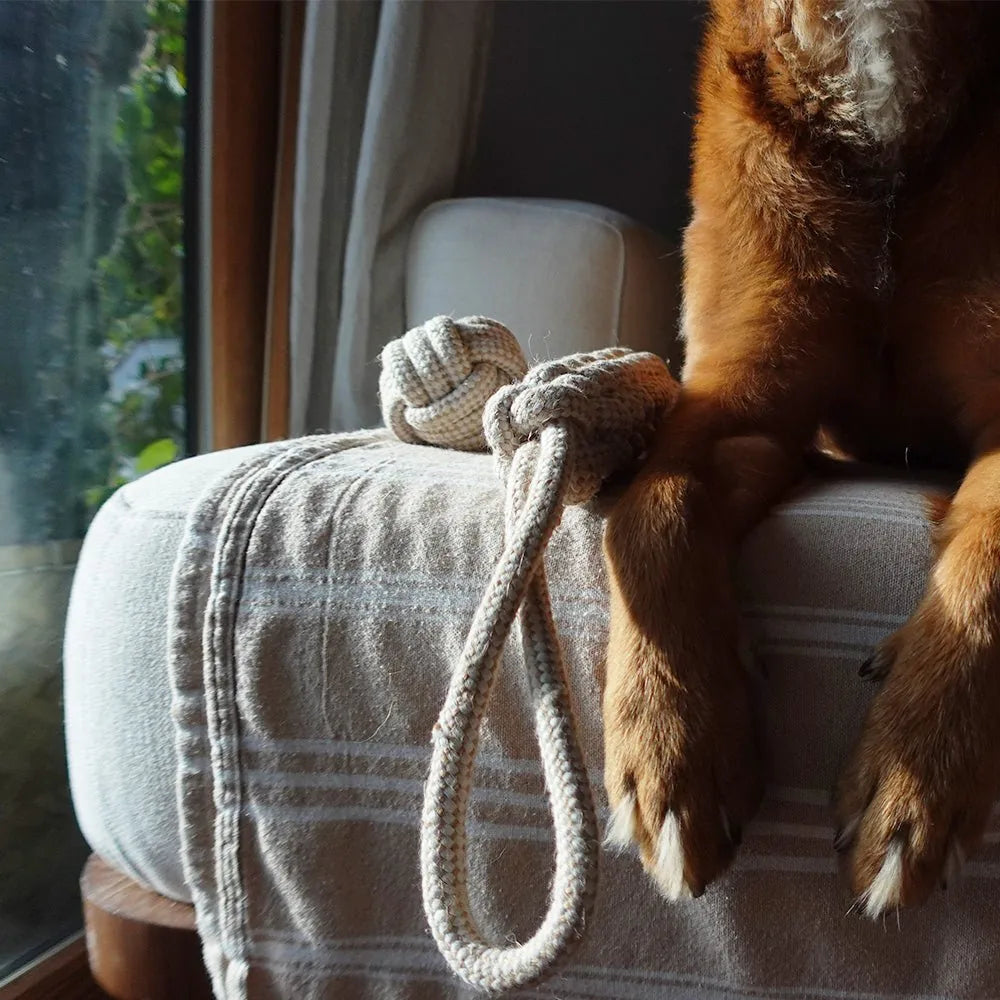 Indestructible hemp rope tug toy on a beige blanket, with a dog's paws resting beside it, showcasing its natural color and...