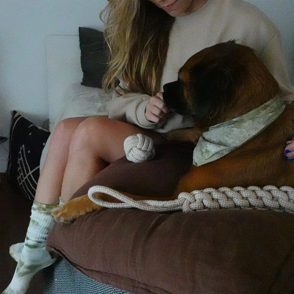 A woman sitting on a couch interacts with a brown dog wearing a green bandana, with a hemp rope tug toy nearby.