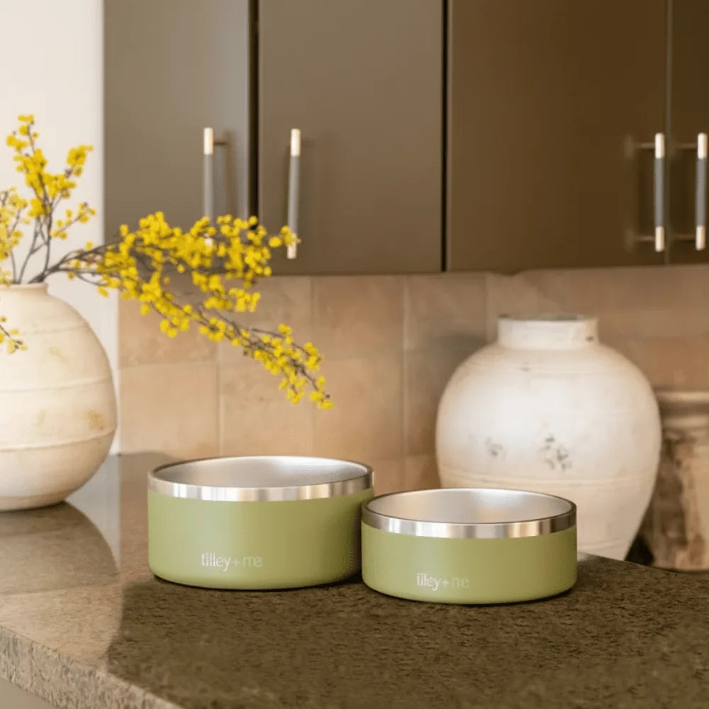 Stainless steel pet bowls by Tilley + Me in Sagebrush Green with non-slip bases on a countertop.