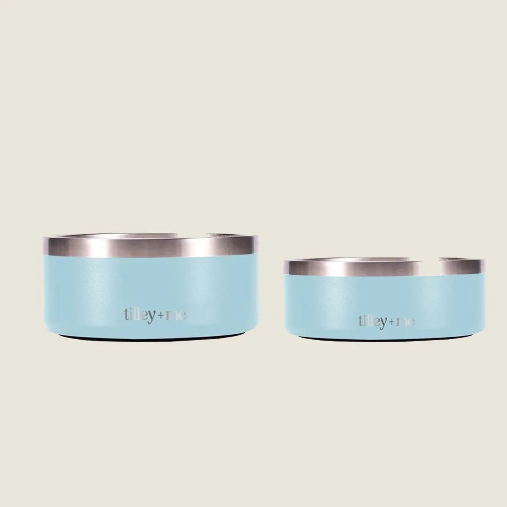Stainless steel pet bowls in Sky Agave, featuring non-slip bases and a sleek design, one 32oz and one 64oz.
