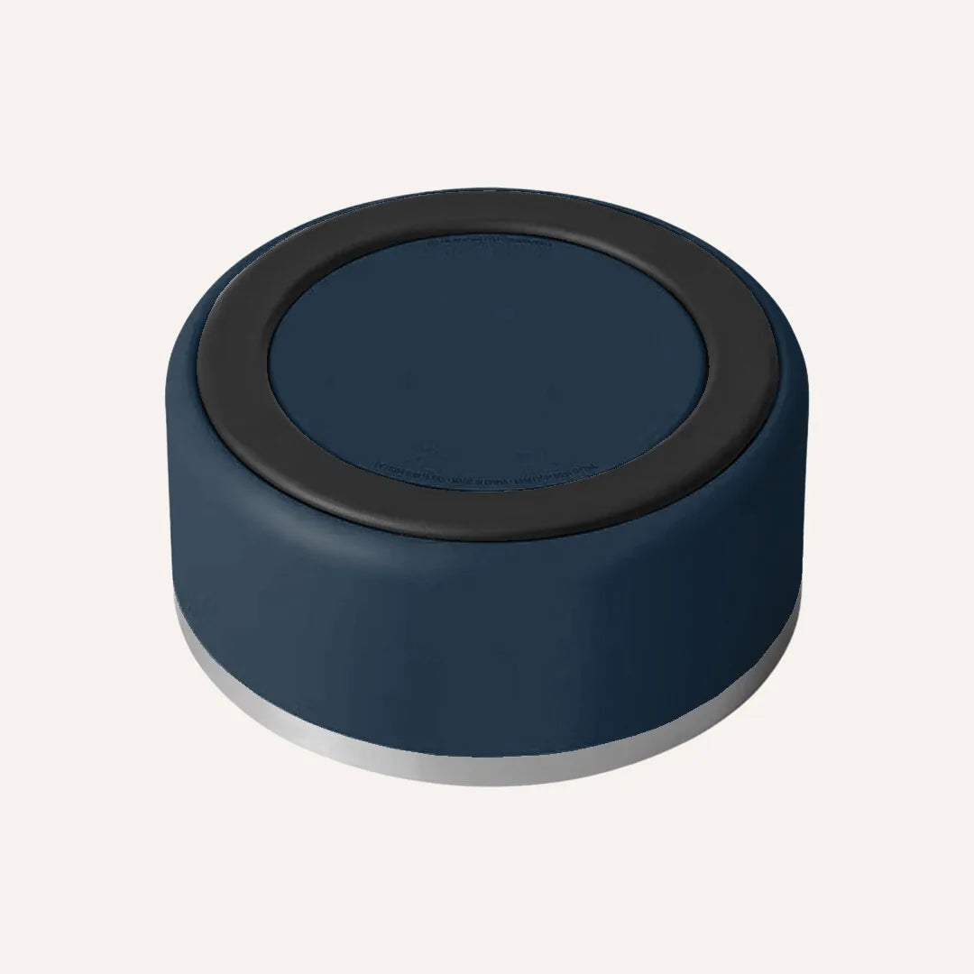 Non-slip stainless steel dog bowl in deep blue, featuring a sleek design with a durable base for stable mealtime.