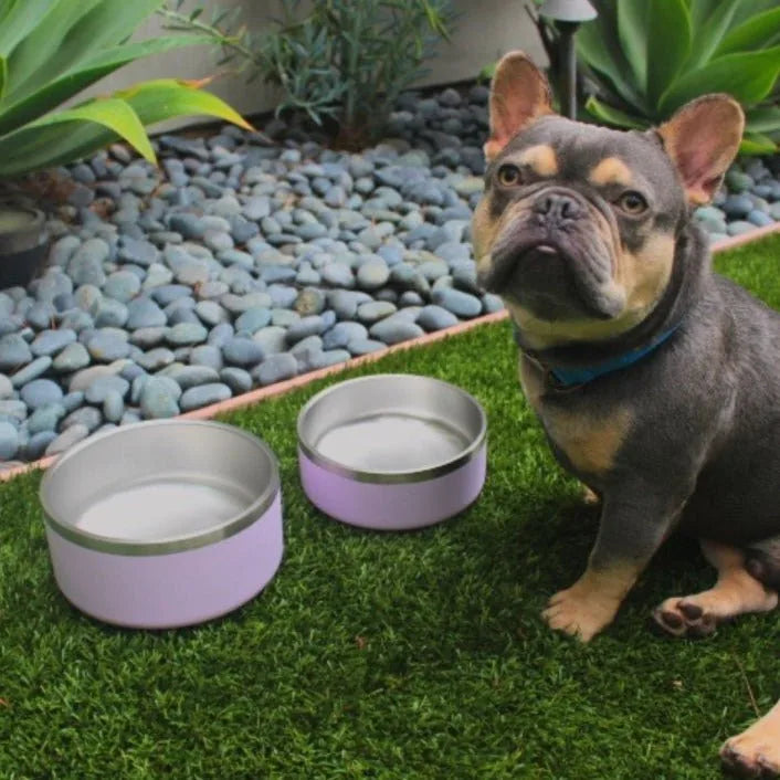 Stainless steel pet bowls in lilac with non-slip bases next to a French Bulldog on green grass and pebbles.