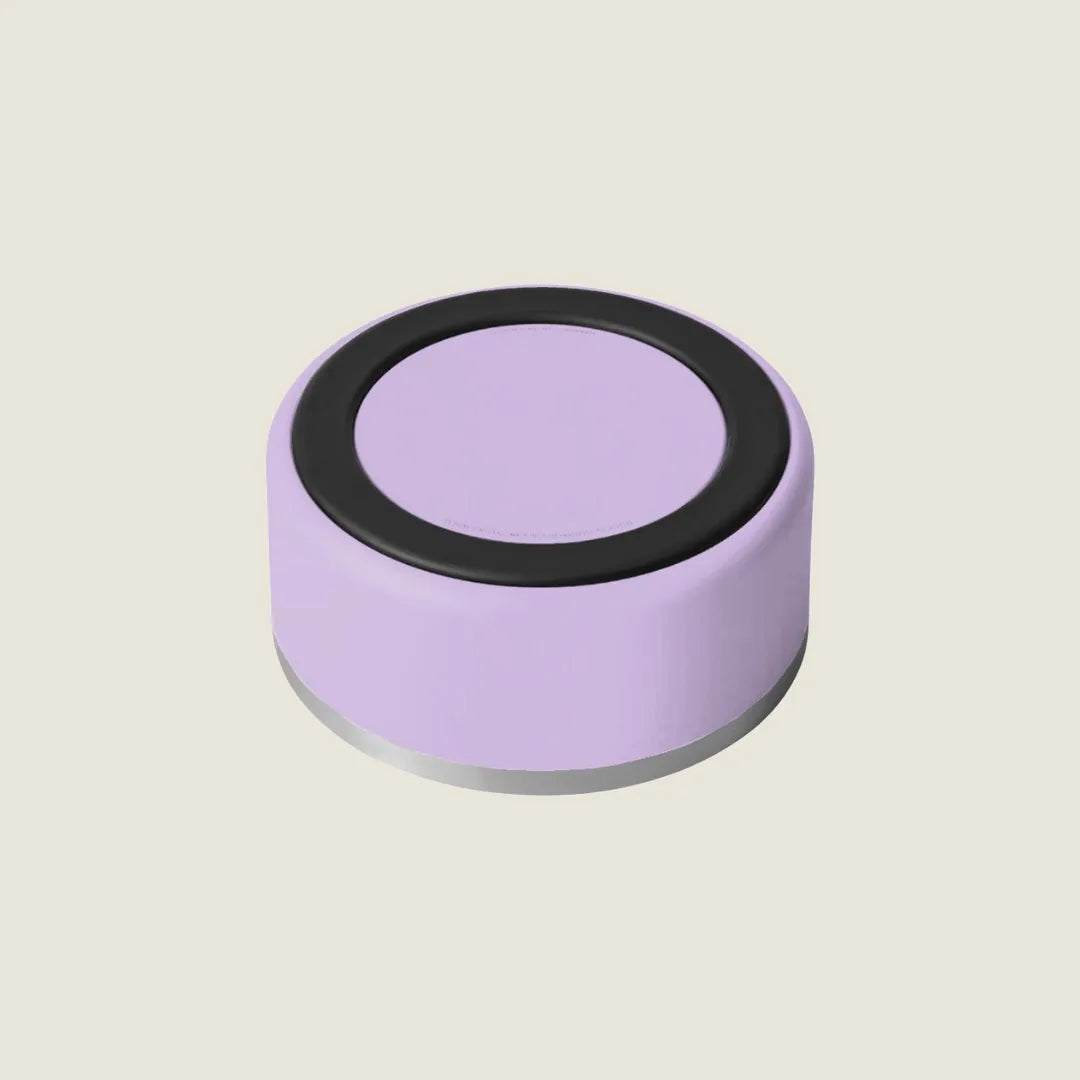 Lilac stainless steel pet bowl with a non-slip base, designed for durability and easy cleaning.