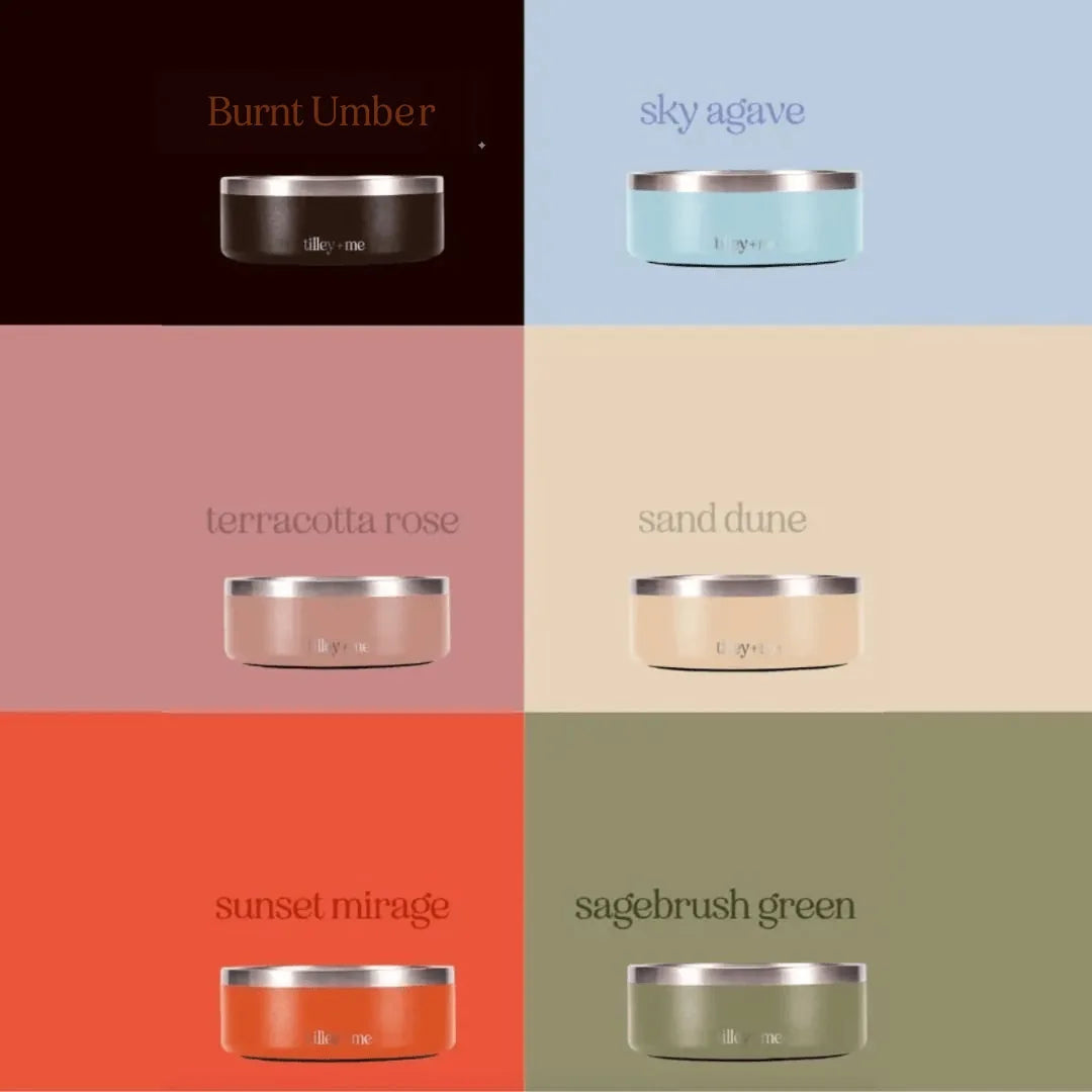 Non-slip stainless steel pet bowls in Burnt Umber, Sky Agave, and other colors displayed on a soft background.