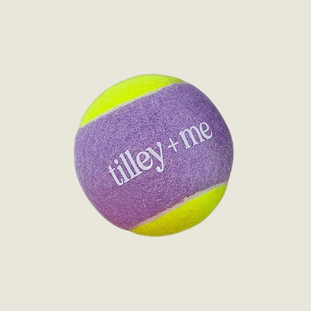 Colorful Tilley + Me tennis ball in purple and yellow, featuring a textured surface and logo, ideal for dog play.