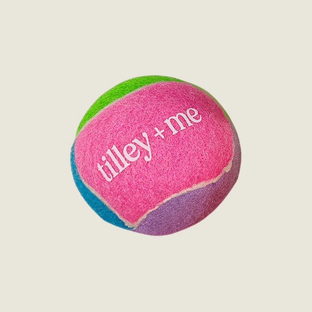 Colorful Tilley + Me tennis ball for dogs in pink, green, blue, and purple, designed for fetch and playtime.