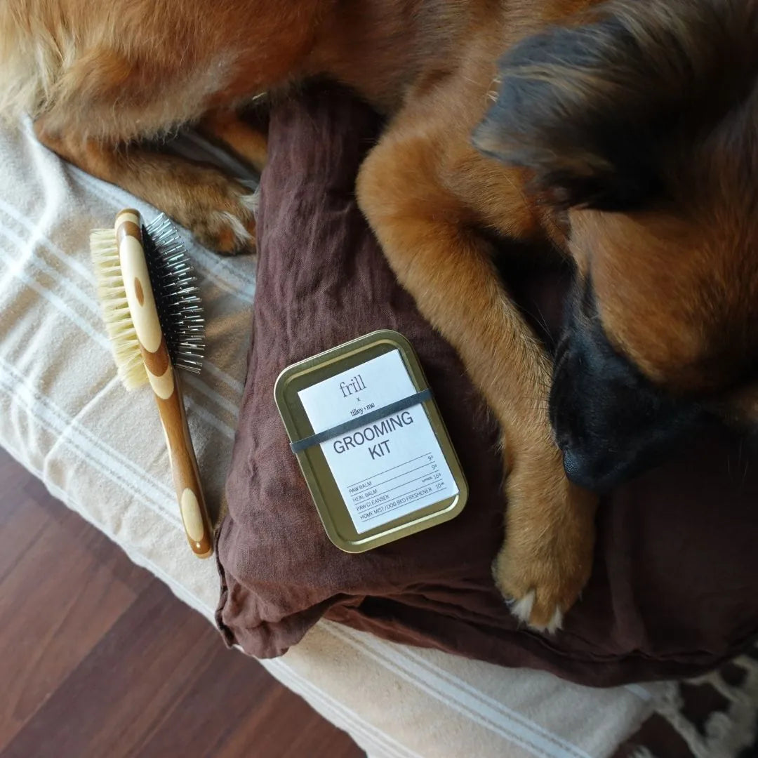 Two-sided Tilley + Me pet brush with bamboo handle beside a grooming kit and a resting dog on a brown pillow.