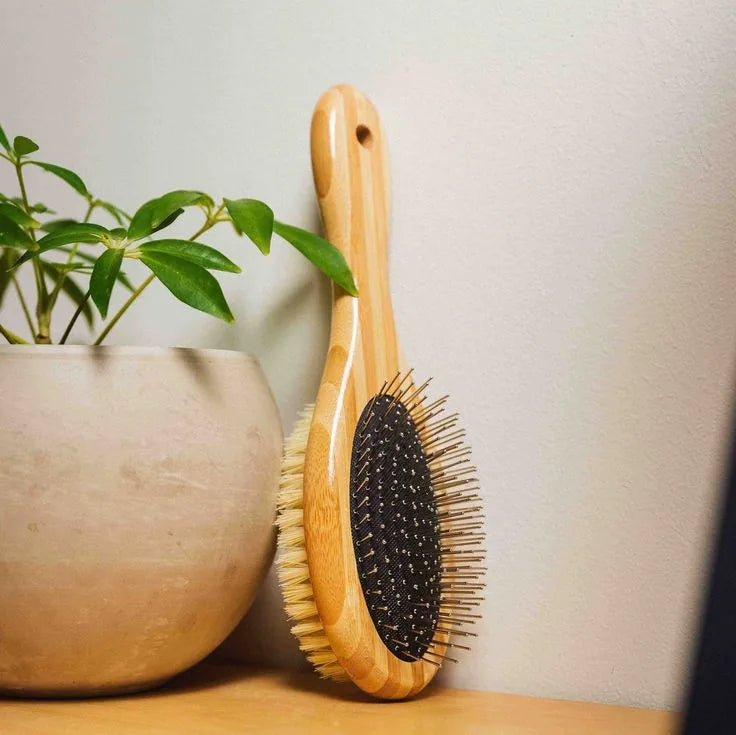 Two-sided pet brush with bamboo handle, featuring natural bristles and fine wire pins, beside a potted plant.