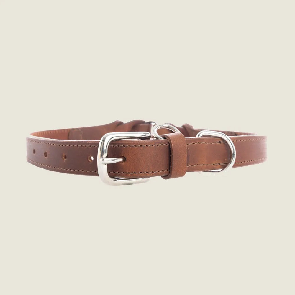 Chocolate brown leather dog collar with braided detailing and metal clasp, adjustable from 14 to 24 inches.