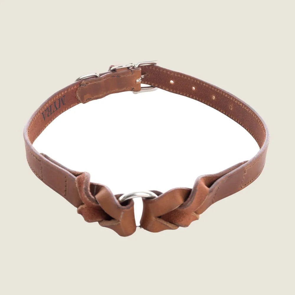 Chocolate brown leather dog collar with braided detailing and adjustable metal clasp for a secure fit.