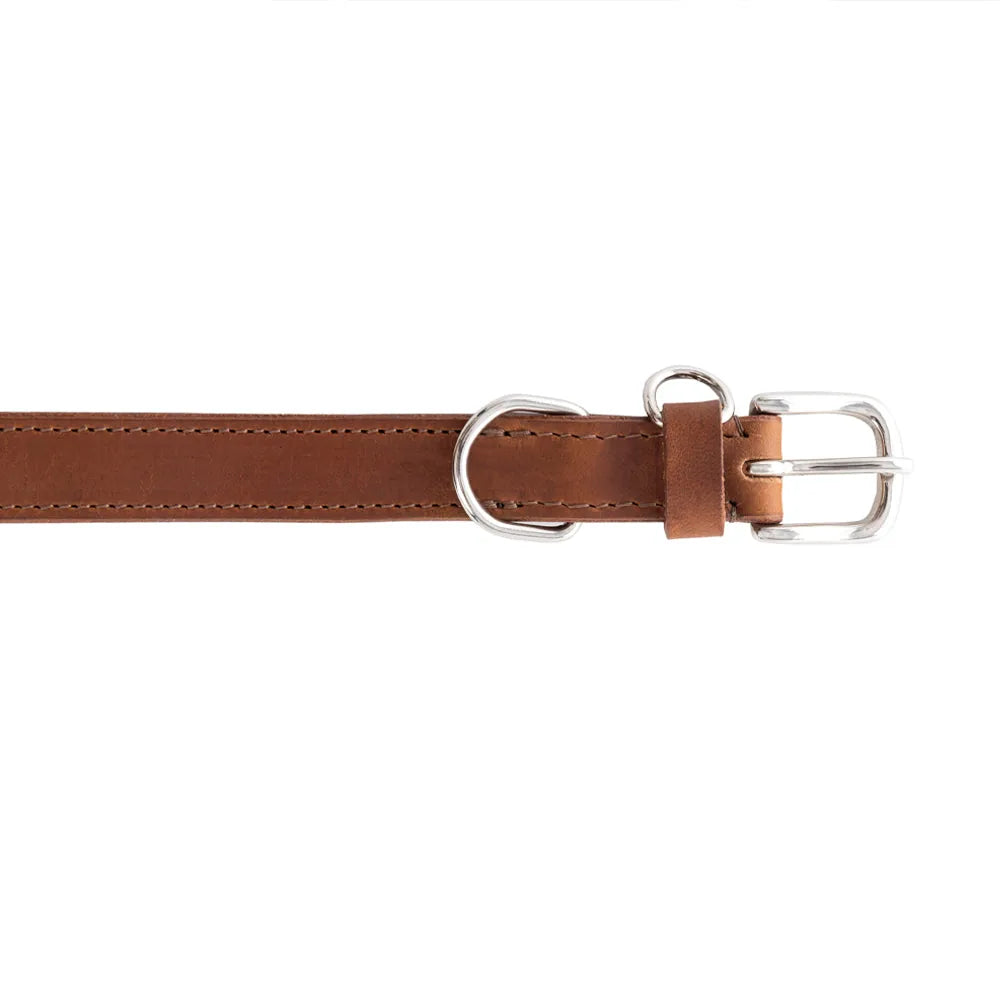 Chocolate brown leather dog collar with braided detailing and metal clasp for secure adjustment.