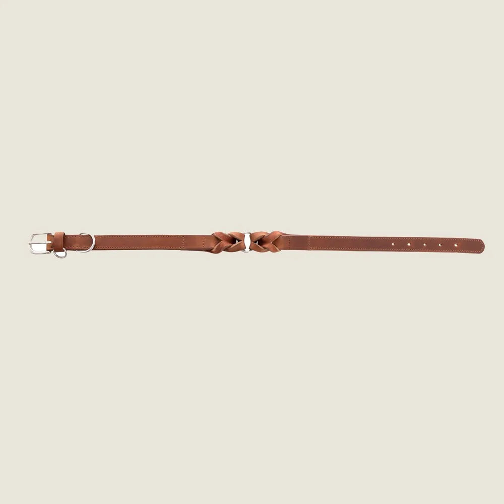 Brown leather dog collar featuring braided detailing and a metal clasp for easy adjustment. Suitable for various sizes.