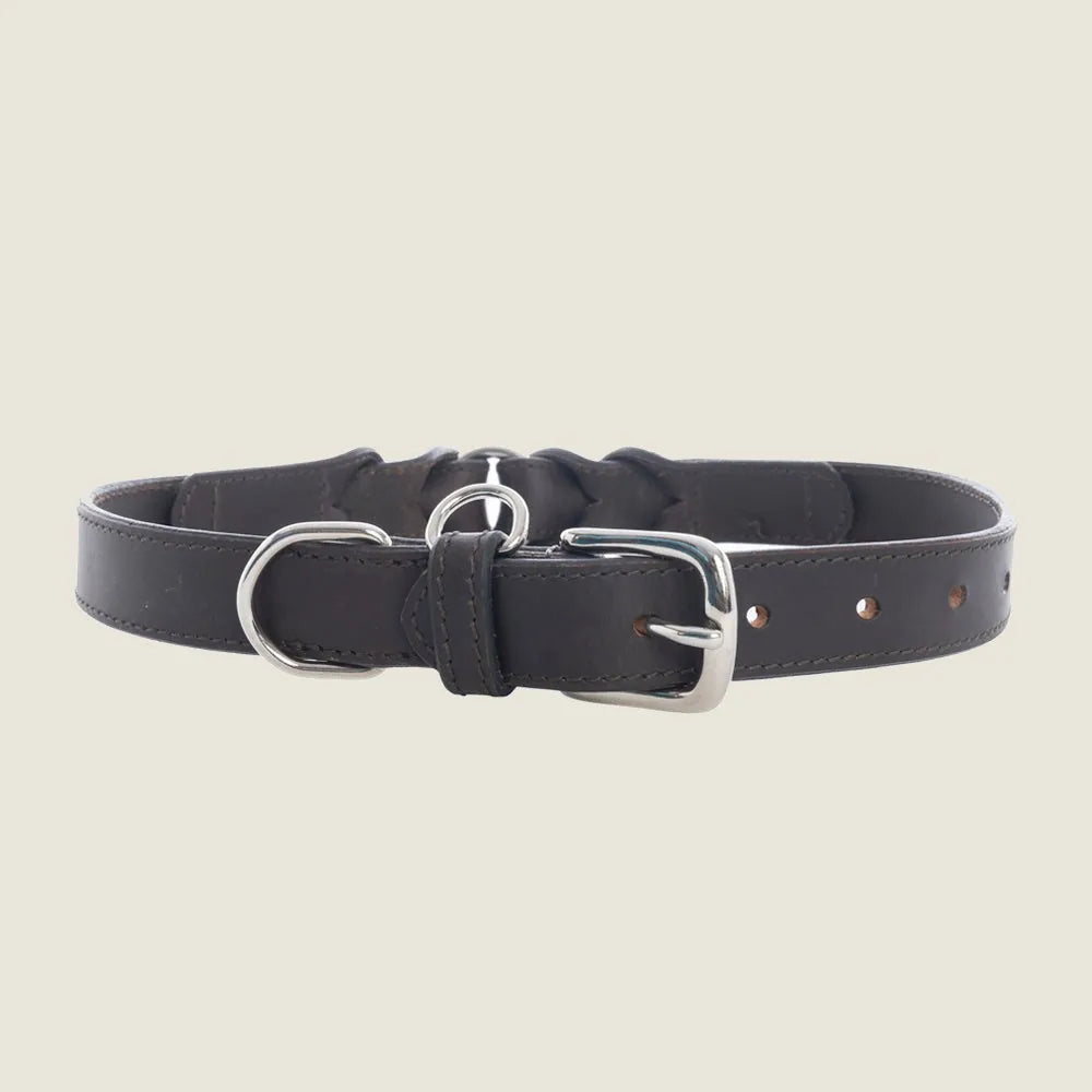 Braided ebony and dark brown leather dog collar with adjustable iron clasp suitable for neck sizes 14-24 inches.