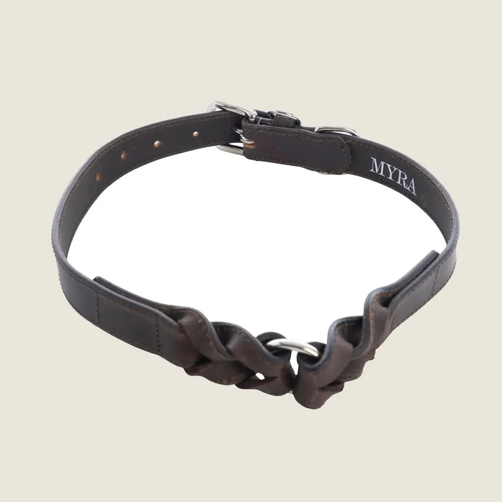 Stylish ebony leather dog collar featuring braided detailing and adjustable length for neck sizes 14-24 inches.