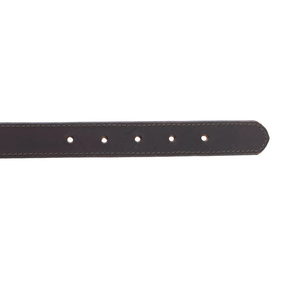 Adjustable ebony leather dog collar with dark brown accents and multiple sizing holes for a secure fit.