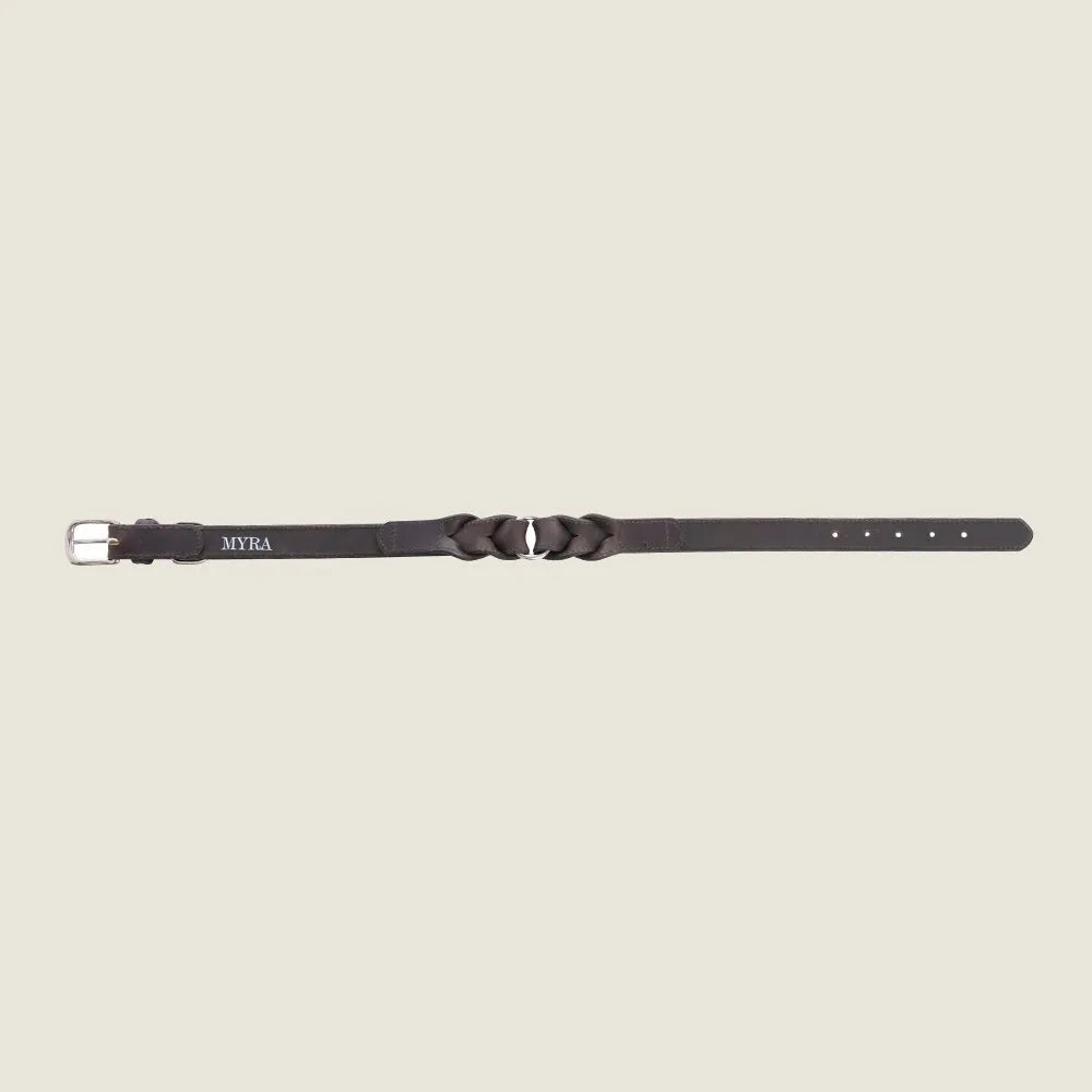 Adjustable ebony and dark brown leather dog collar with braided detailing and iron clasp, suitable for neck sizes 14-24 in...