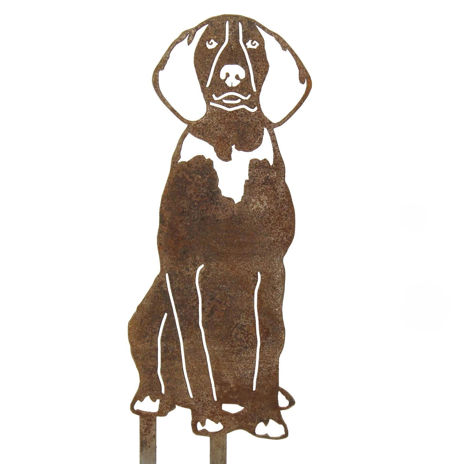 Rusty metal silhouette of a Treeing Walker Coonhound, featuring a detailed cutout design, ideal for outdoor decor.