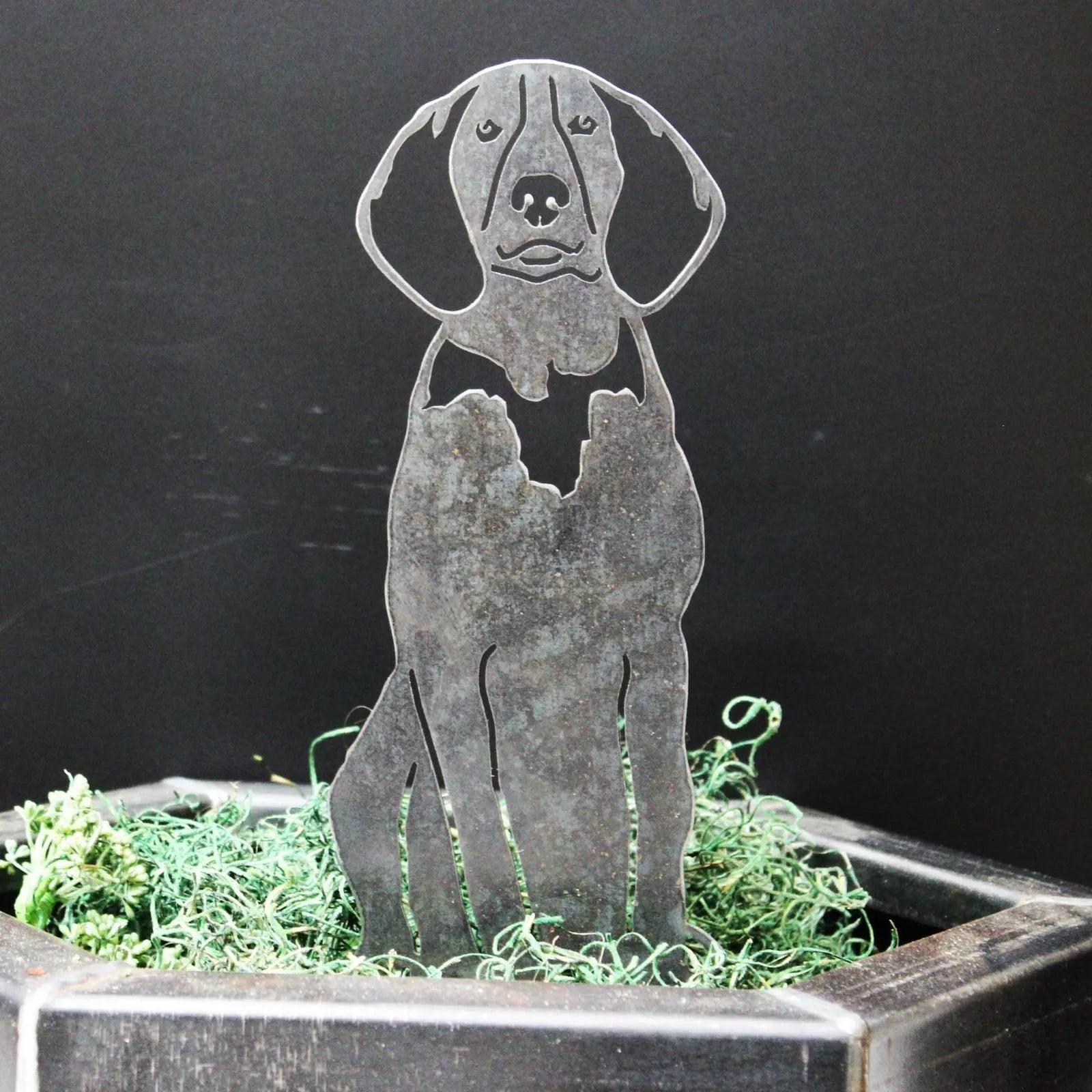 Treeing Walker Coonhound metal silhouette in weathered steel, showcased in a decorative planter with green moss.