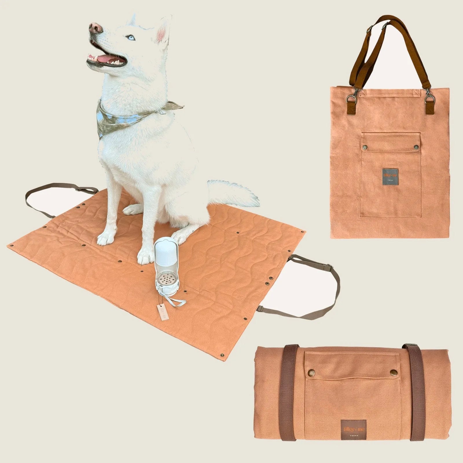 Portable orange canvas travel mat with a quilted texture, featuring a dog sitting on it and a stylish carrier bag nearby.