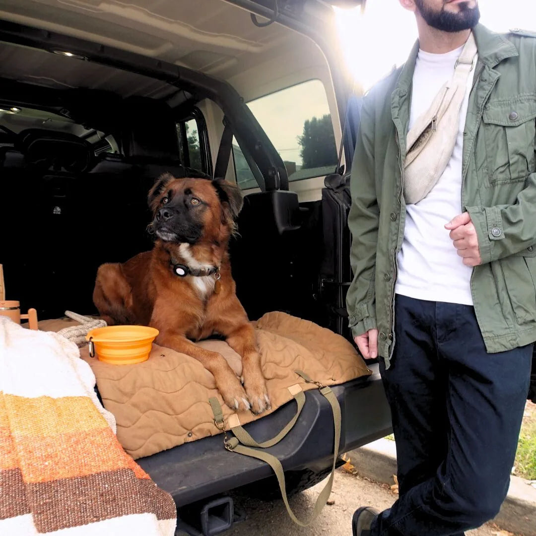 A brown dog rests on a tan quilted mat in a vehicle, while a man in a green jacket stands nearby.