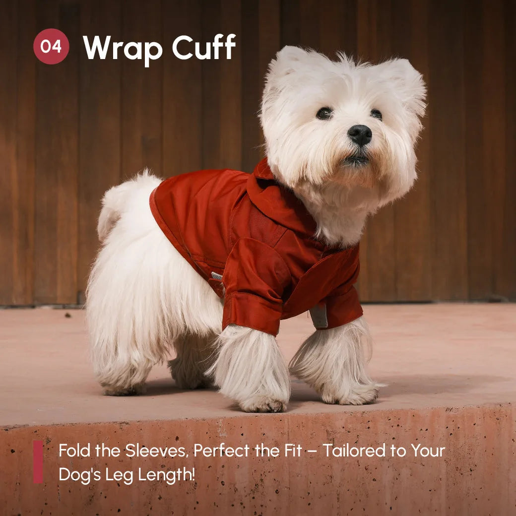 Burgundy adjustable velcro raincoat on a small fluffy dog, showcasing wrap cuffs for a tailored fit.
