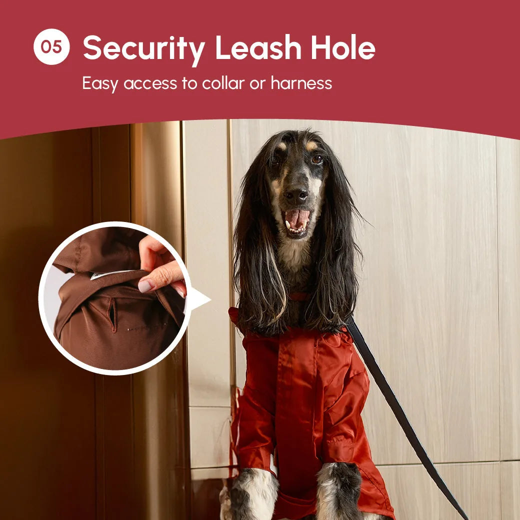 Burgundy dog raincoat featuring a security leash hole for easy access to collar or harness.