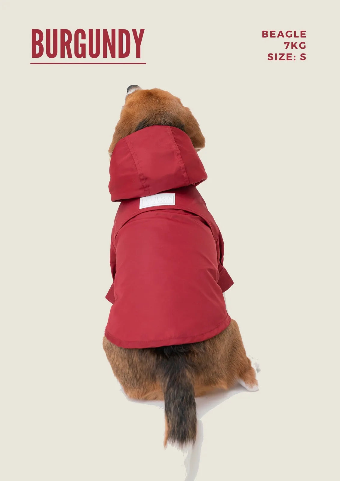 Burgundy adjustable dog raincoat with hood, velcro closures, and a clean logo, modeled on a beagle.