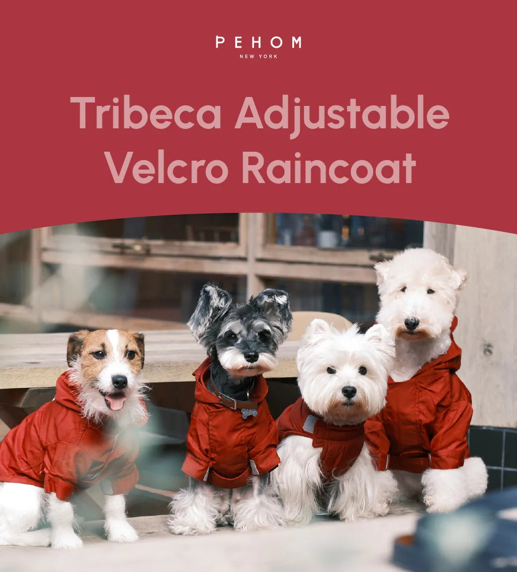 Four dogs wearing burgundy Tribeca adjustable velcro raincoats, showcasing their stylish and functional design.