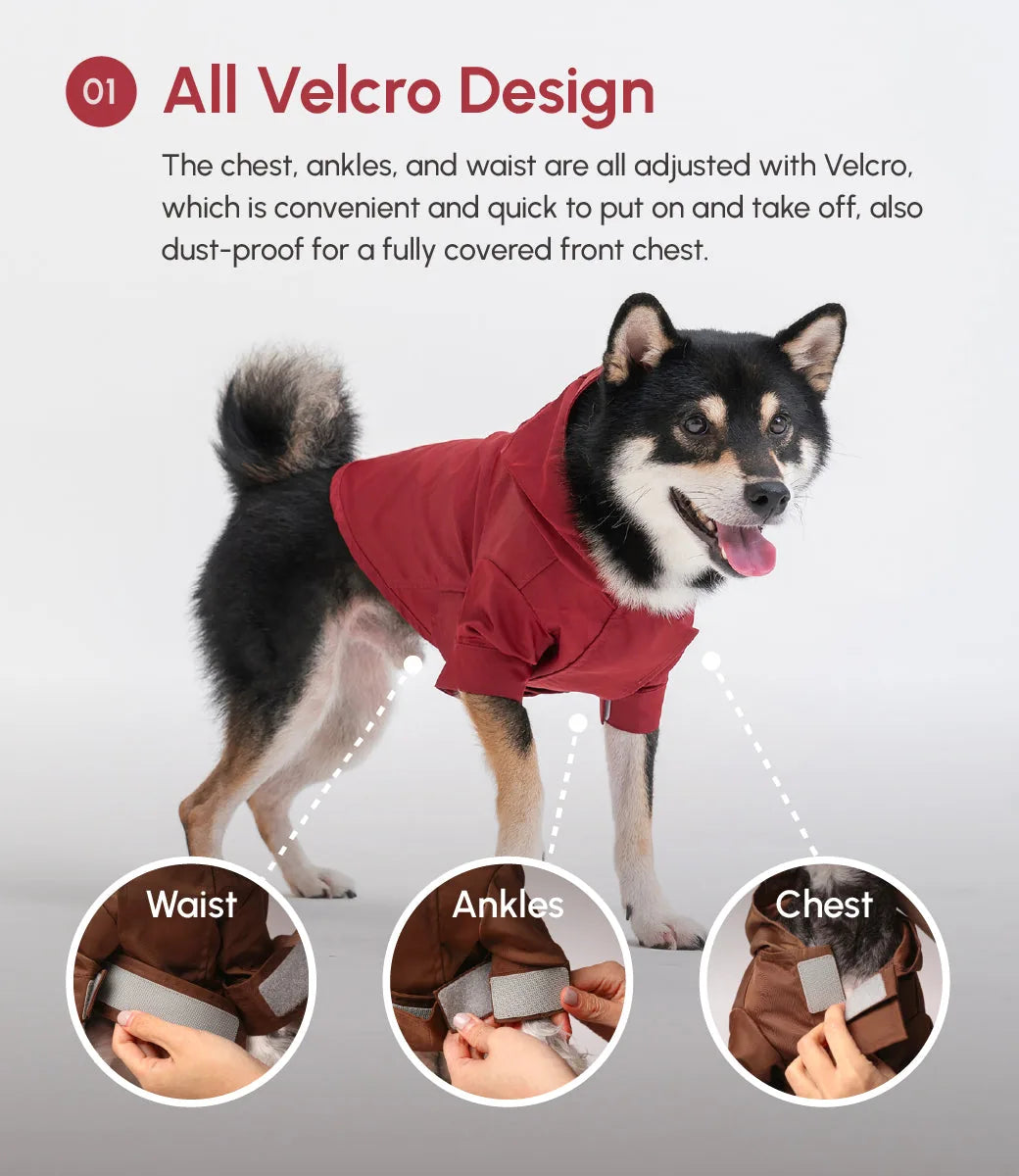 Burgundy adjustable velcro raincoat on a dog with a hood, showcasing velcro closures at the waist, chest, and ankles.